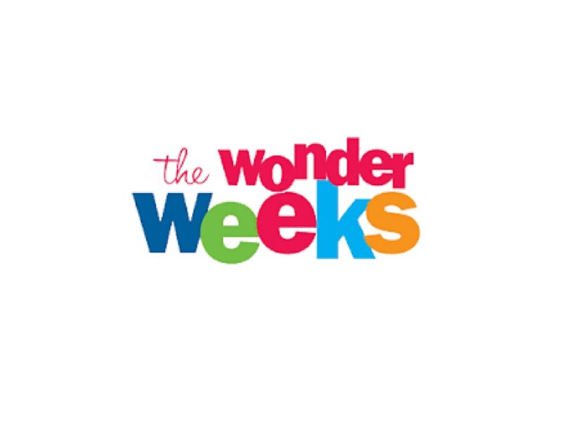 the wonder weeks movie review