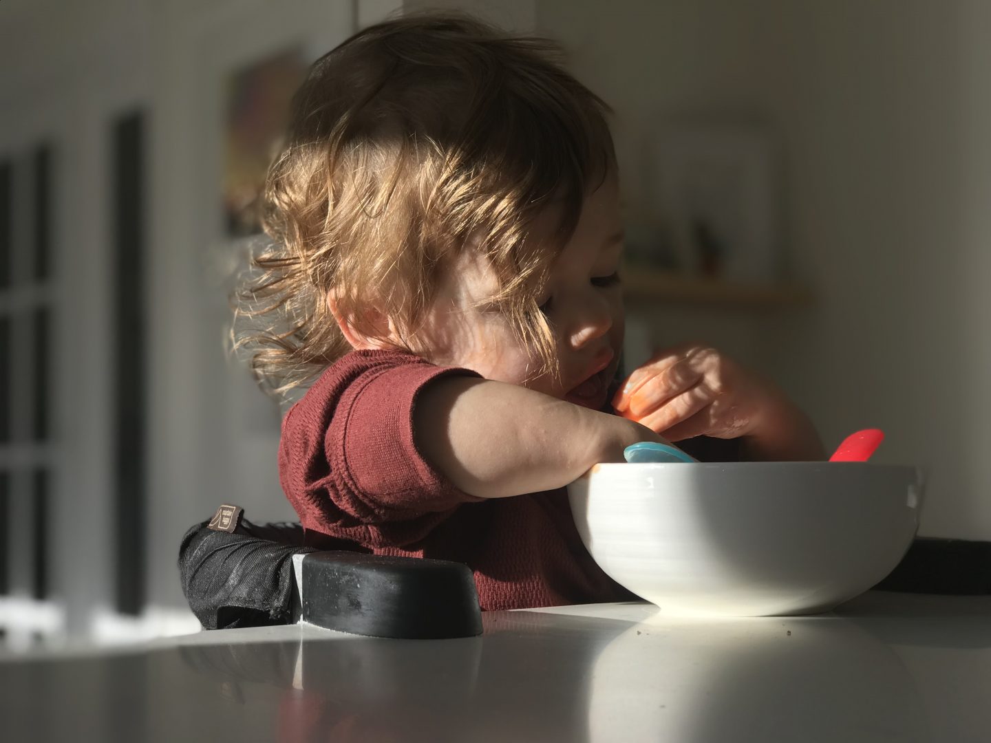 Mountain buggy portable high chair