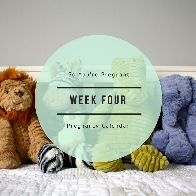 Pregnancy Calendar - Week Four