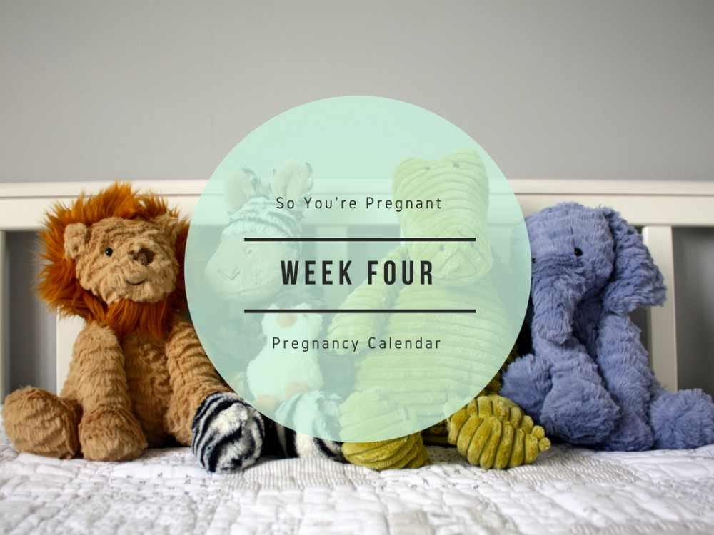 Pregnancy Calendar - Week Four