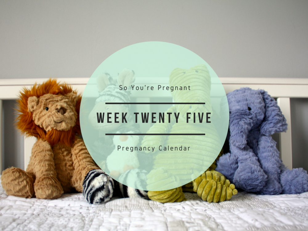Pregnancy Calendar - Week Twenty Five