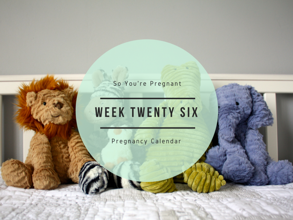 Pregnancy Calendar - Week Twenty Six
