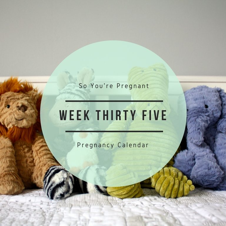 Pregnancy Calendar Week Thirty Five