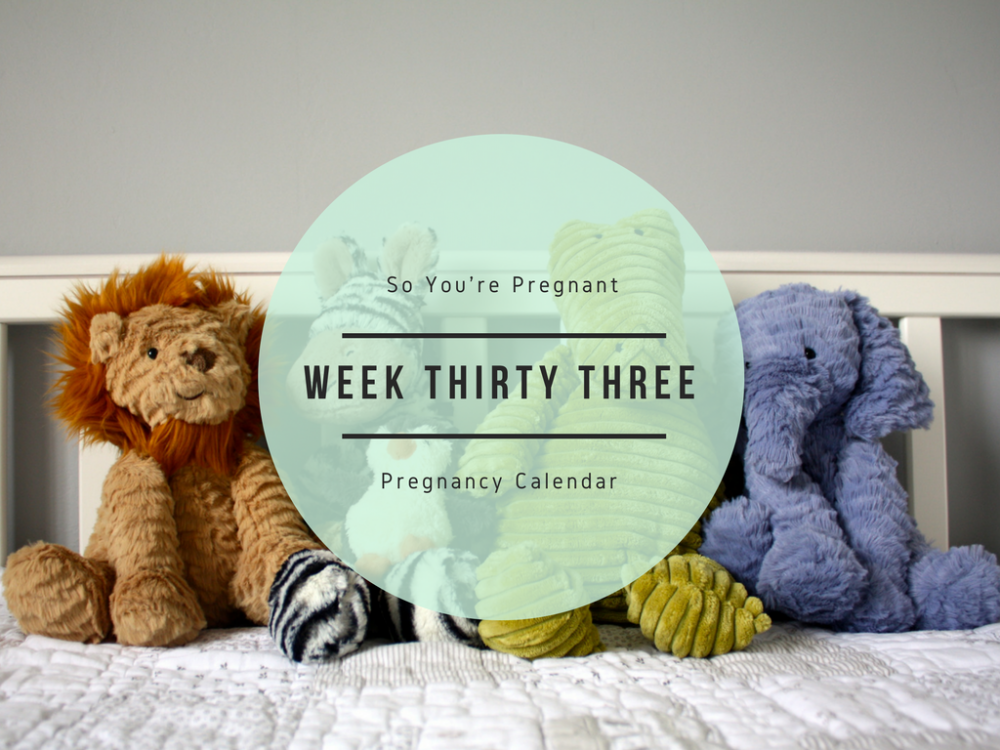 Pregnancy Calendar - Week Thirty Three