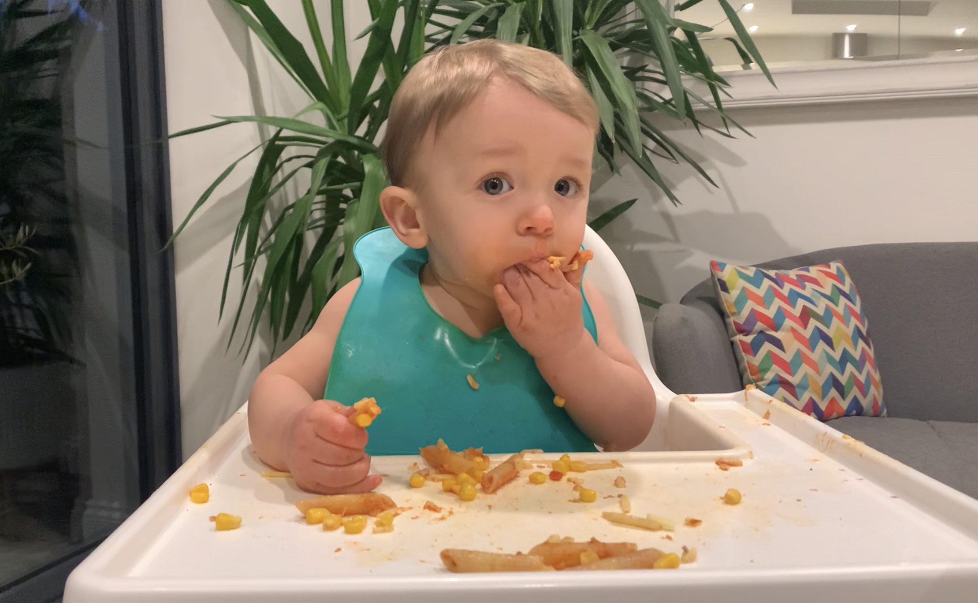 Tuna pasta deals for babies